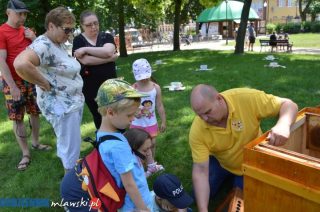 2 w 1 w parku miejskim – Dzień Dziecka i II Mławskie Święto Pszczoły