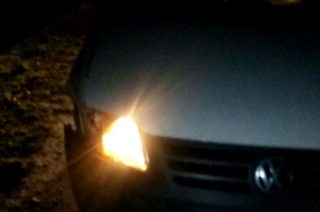 Stupsk. Volkswagen kontra dzik