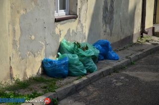 Szreńsk wdraża aplikację „Kiedy Śmieci”