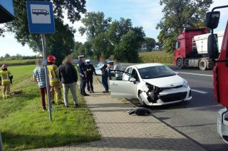Wypadek na „siódemce”. Zderzenie auta z sarną