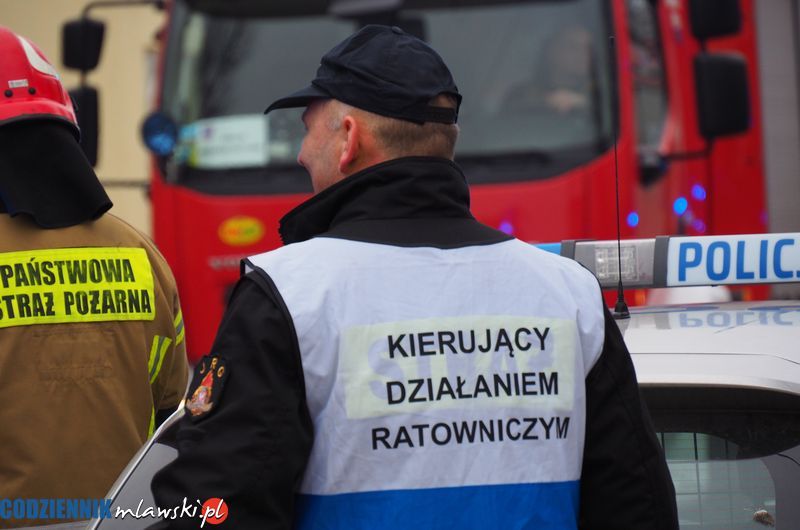 Pojechały trzy zastępy straży. Poranny pożar w LG