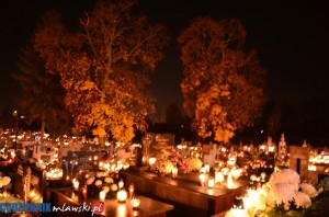 DSC 0060