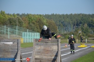 1111 (75)