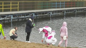 17976198 1444127115657577 728341184 o