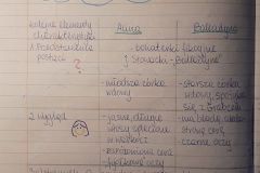 142349670_720098902203659_5431521310920477204_n