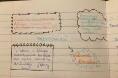 143182797_457809728708812_4182836795225046697_n