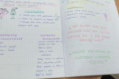 143263969_516219196005839_1574803613341249956_n