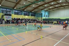 462582043_1248567902931618_6362793966973782350_n