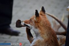 DSC_0182