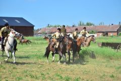 DSC_0220