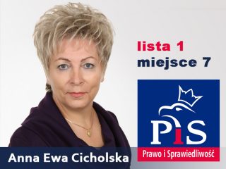 W polityce potrzebne są nowe twarze i uczciwi ludzie – rozmowa z Anną Ewą Cicholską