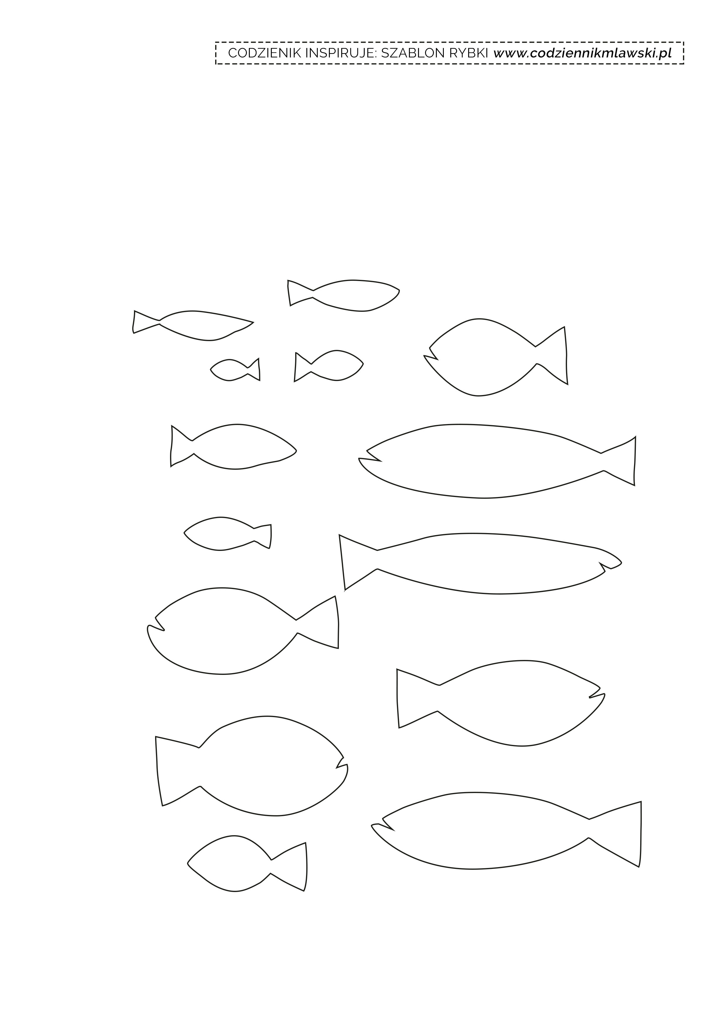 szablon-rybki-codziennik-mlawski