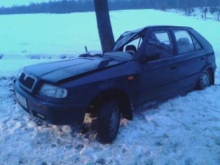 Borowe. Skoda uderzyła w drzewo