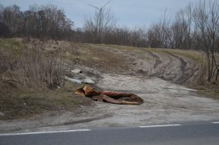 Latający dywan wylądował pod Mławą