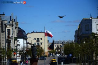 Dziś obchodzimy Dzień Flagi Rzeczypospolitej Polskiej. Barwy biało-czerwone w Mławie