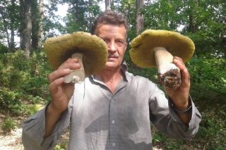 Powiat mławski w szale grzybobrania