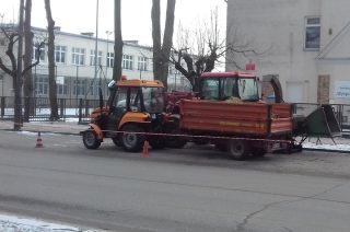 Pierwsze zwiastuny wiosny w Mławie