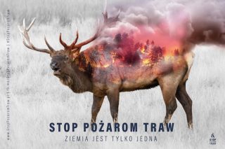 Plaga pożarów traw narasta! W tym roku odnotowano ich już ponad 38 tys.