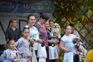 Boo Boo, Olaf, Czina, Mandragor, Tofik, Aston i Pola na czerwonym dywanie