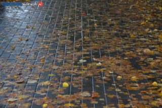 Na chodniku jest ślisko, ludzie się przewracają – alarmuje czytelnik