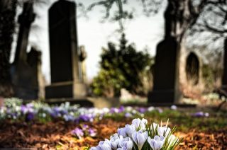 NIK: samorządowi włodarze nierzetelnie nadzorują zarządców cmentarzy komunalnych