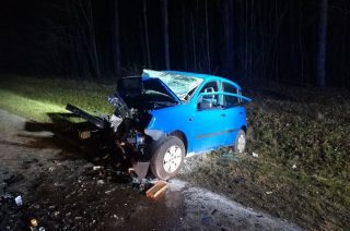 Dzik w rowie, 2 rozbite pojazdy, 3 osoby w szpitalu
