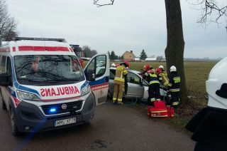 Dunaj. Samochód osobowy uderzył w drzewo (aktualizacja)