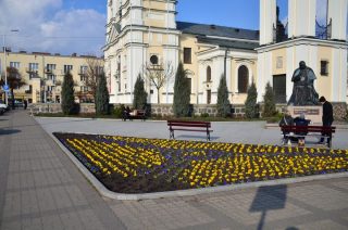 Wiosna w przyrodzie, wiosenne kwiaty wokół ratusza, a jak w waszych ogrodach?