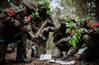 Terytorialsi odmrażają szkolenia. Ożyły poligony