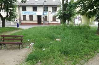 Na „zielonym rynku” trawa po kolana