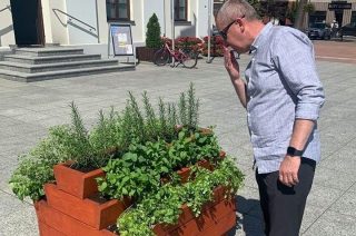 Świeża mięta, rozmaryn czy oregano. Możesz sobie urwać