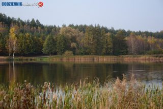 Dzień Dzikiej Flory, Fauny i Naturalnych Siedlisk. Ich ochrona to obowiązek nas wszystkich