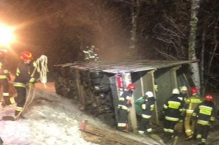 Wywrócona ciężarówka. 35 świń martwych