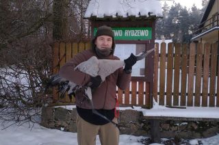 Myśliwy uratował żurawia ze śmiertelnej opresji