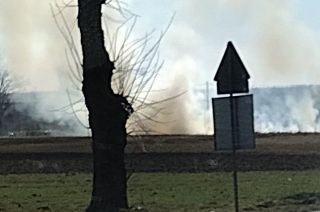 Znów pożary traw. Tym razem w Kosinach Starych i Turzy Wielkiej [FOTO]