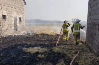Pożar traw w Mostowie i Nosarzewie Borowym