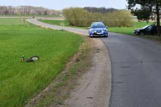Pięcioletnią rowerzystkę potrącił trzynastolatek na motorowerze