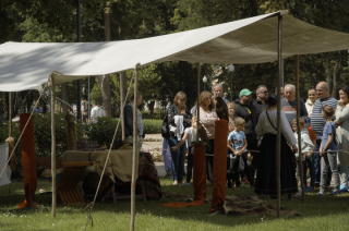 Sokoły w mławskim parku