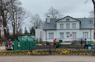 Na wiosennych rabatach pojawią się bratki