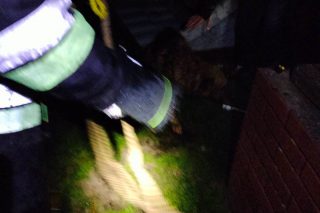 Pies wpadł do studni. Wyciągnęli go strażacy