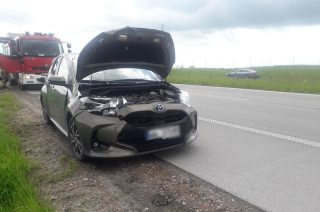 Trasa S7. Toyota rozbita, sarna martwa [FOTO]