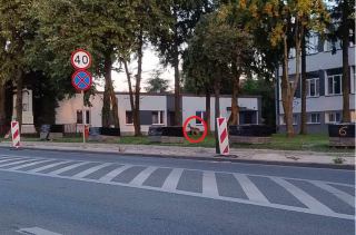 Sarny niemal w centrum Mławy