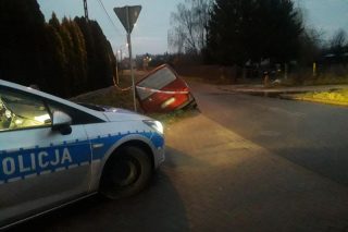 Busik w rowie o poranku [FOTO]