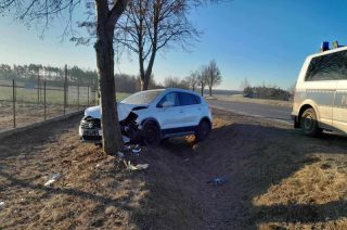 Chciał ominąć psa, uderzył w drzewo