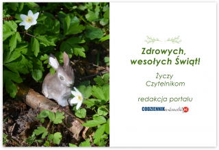 Wesołych Świąt!