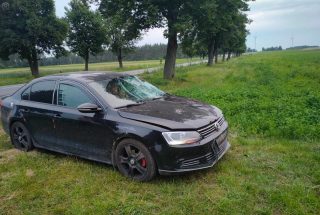 Zderzenie z łosiem koło Stupska