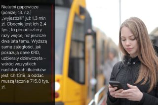Wielu gapowiczów nie traktuje tego poważnie