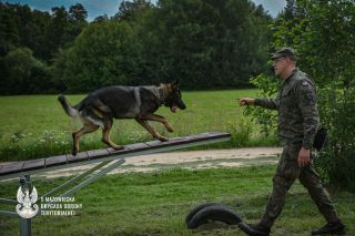 Simba – nowy rekrut w Grupie Poszukiwawczo – Ratowniczej