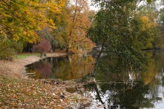 Ciechanowscy fotograficy w Galerii 13