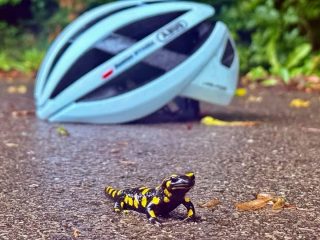 Asp. sztab. Damian Wyroda z Mławy wśród zwycięzców Konkursu Fotograficznego im. Olka Załęskiego